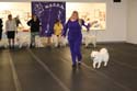 IMG 09786