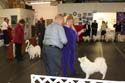 IMG 09787