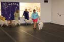 IMG 09789