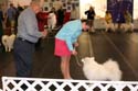 IMG 09791