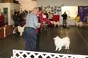 IMG 09796