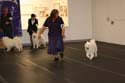 IMG 09811