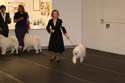 IMG 09815