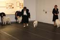 IMG 09819