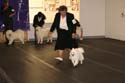 IMG 09820