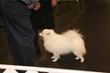 IMG 09826