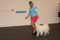IMG 09835