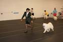 IMG 09841