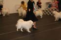 IMG 09847