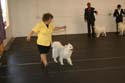 IMG 09854
