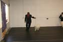 IMG 09855
