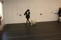 IMG 09857