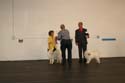 IMG 09867