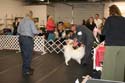 IMG 09873