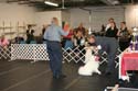 IMG 09874