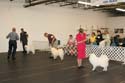 IMG 09881