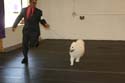 IMG 09891