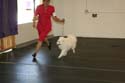 IMG 09893
