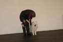 IMG 09896
