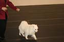 IMG 09903