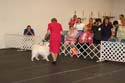 IMG 09904