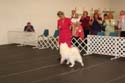 IMG 09905