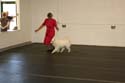 IMG 09907