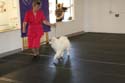 IMG 09908