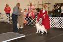 IMG 09912