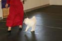 IMG 09918