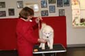 IMG 09923