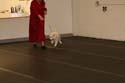 IMG 09931