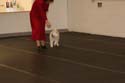 IMG 09932