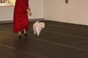 IMG 09933