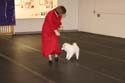 IMG 09935
