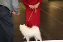IMG 09937