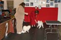 IMG 09943