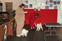 IMG 09944