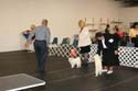 IMG 09949