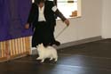 IMG 09954