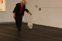 IMG 09959