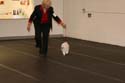 IMG 09960