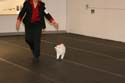 IMG 09961