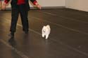 IMG 09962