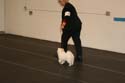 IMG 09967