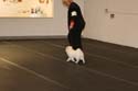 IMG 09968