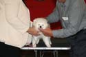 IMG 09970
