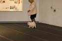 IMG 09977