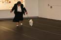 IMG 09981