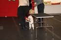 IMG 09984